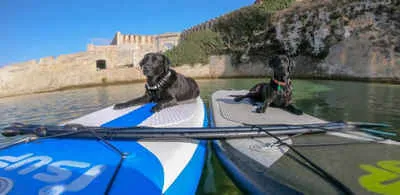 sup routes tarifa
